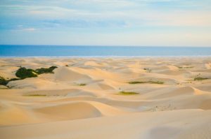 Boat trip on the Sundays River & dunes
