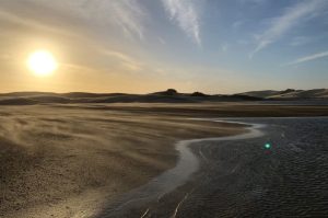 Boat trip on the Sundays River & dunes