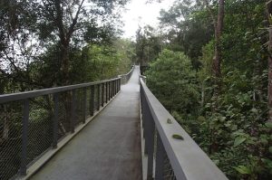 Penang 3 – A Journey into Nature, Culture & History