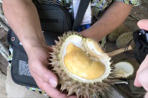 Penang 2 – Discover Nature & Culture