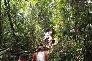 Penang 2 – Discover Nature & Culture