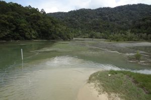 Penang 2 – Discover Nature & Culture