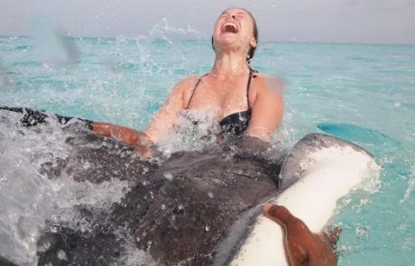 Snorkelling in the Coral Gardens, Grand Cayman