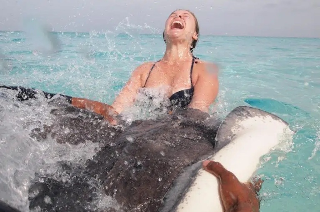 Two-Stop Stingray Snorkel Tour