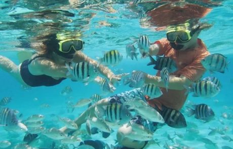 Two-stop snorkel tour with stingrays in Grand Cayman