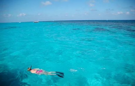 Catamaran tour to the Stingray City sandbar, Grand Cayman
