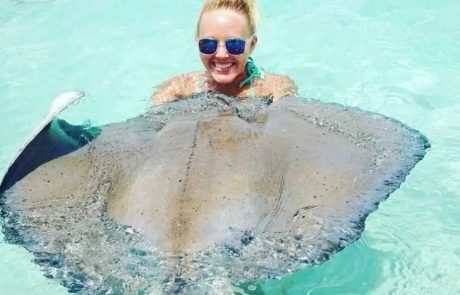 Beach lunch and stingray tour on the North Sound, Grand Cayman