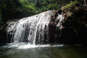 Jeep Safari – shore excursions with Bakadi Dreams