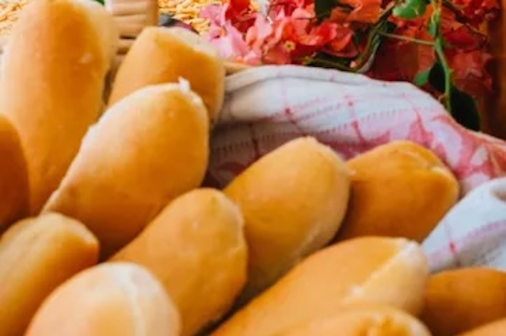 Half Day Catamaran Tour