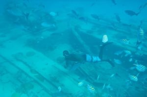 Catamaran Tour with Turtles