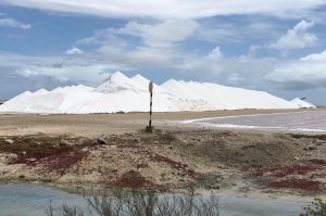 Bonaire Highlight Tour