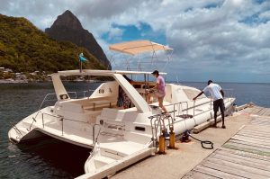 Whale & Dolphin Watching