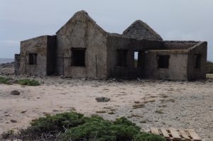 Bonaire Highlight Tour