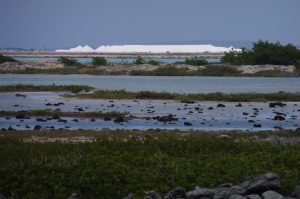 Bonaire Highlight Tour