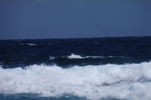 Bonaire Highlight Tour