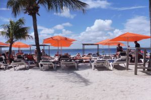 Bonaire Highlight Tour