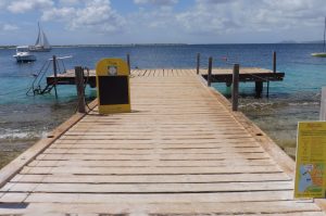 Bonaire Highlight Tour
