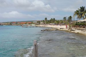 Bonaire Highlight Tour