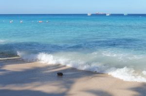 Catamaran Tour with Turtles