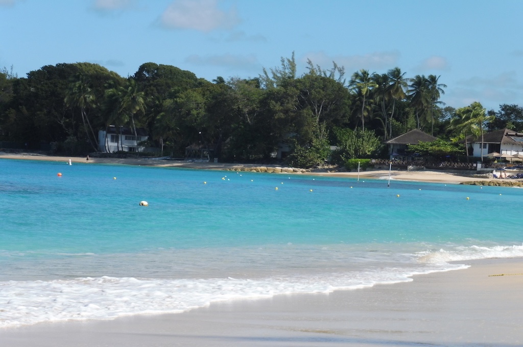 Catamaran Tour with Turtles