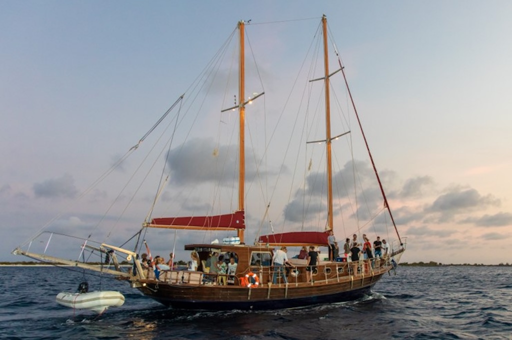 Luxury Sailing & Snorkeling
