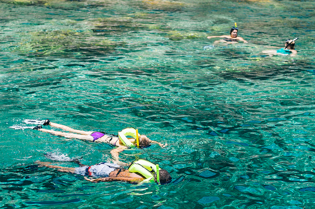 Half Day Catamaran Tour