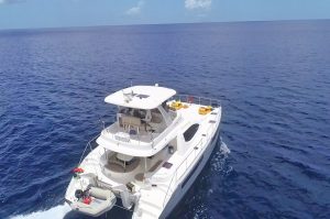 Whale & Dolphin Watching