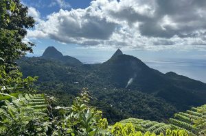 ATV Nature Ride Tour