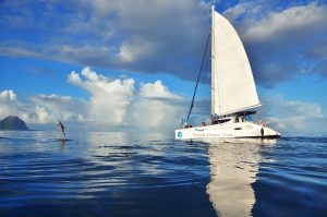 Catamaran Cruise West Coast