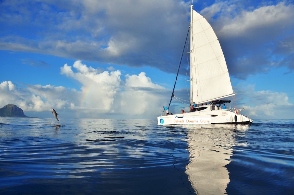 Catamaran Cruise West Coast