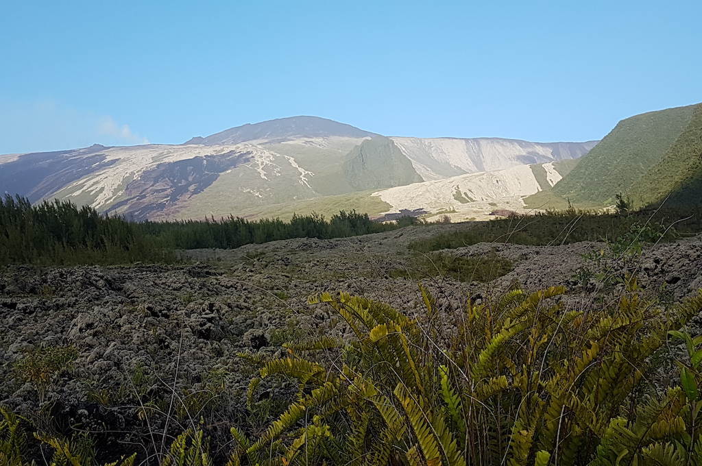 The Wild South of La Réunion