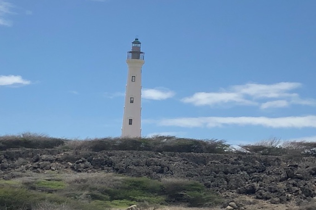 Lighthouse Island Tour by Bus
