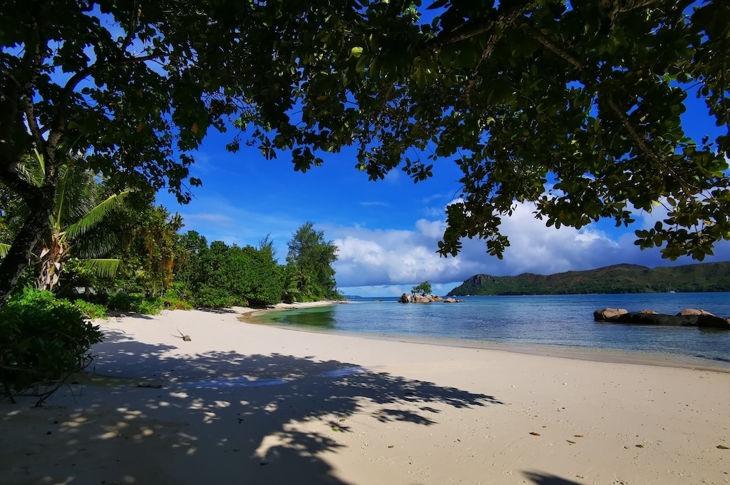 Praslin tour from Praslin Port