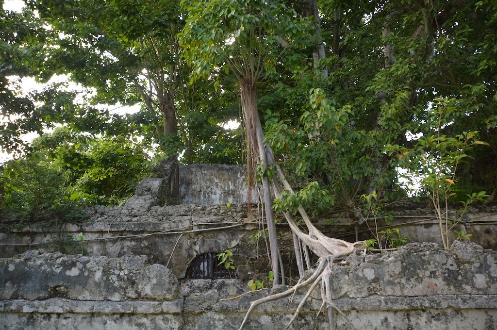 Discovery Tour of Guadeloupe - Guadeloupe