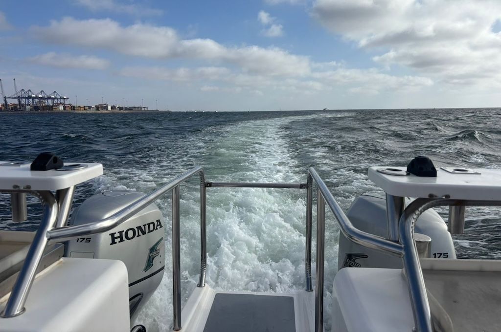 Dolphin Catamaran & Sandwich Harbour Dolphin Catamaran & Sandwich Harbour