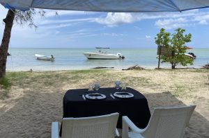 Dolphins & Ile aux Benitiers