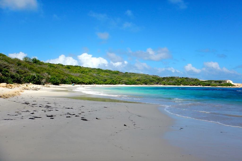 halfmoon Island Tour Northeast