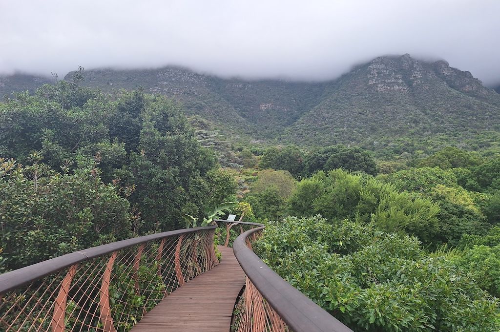 Kirstenbosch Botanical Garden & Chapman’s Peak Drive Kirstenbosch Botanical Garden & Chapman’s Peak Drive