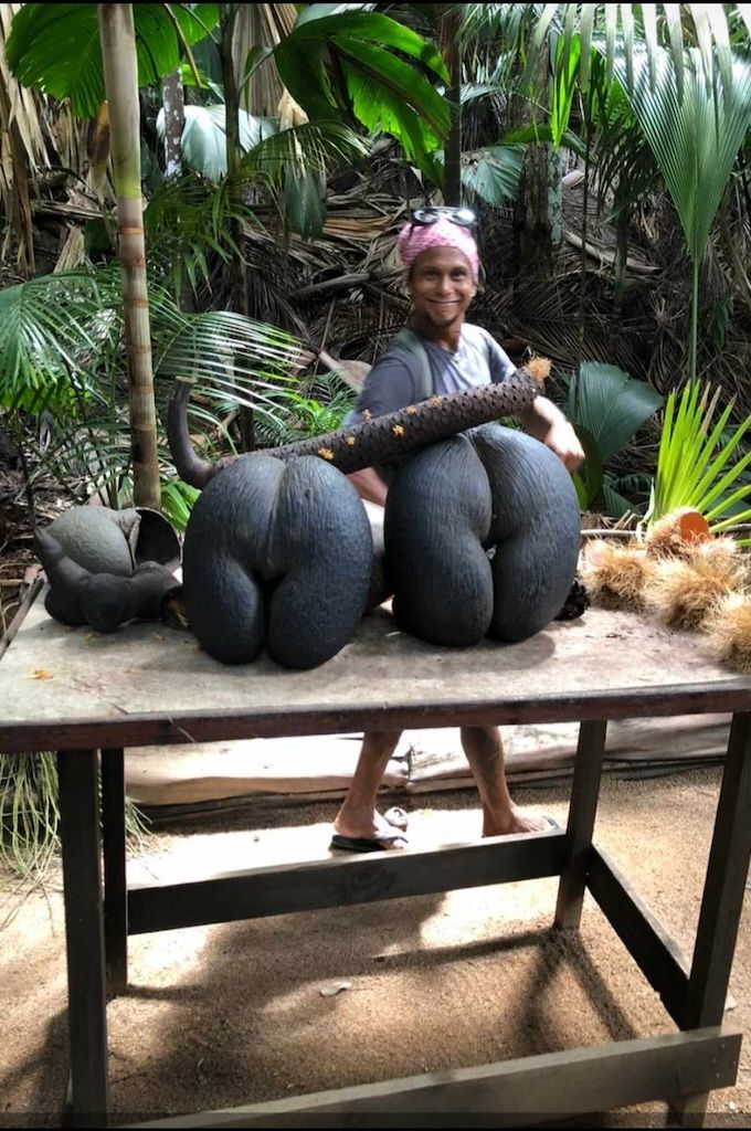 Mahé Island Highlight Tour