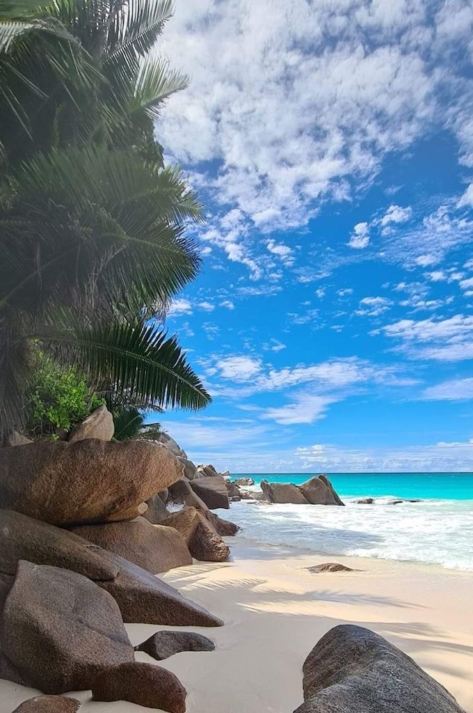 Praslin Tour from Praslin Port