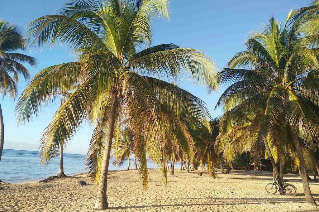 Southern Dream Beaches of Grande-Terre Southern Dream Beaches of Grande-Terre