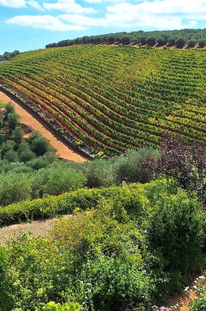 Stellenbosch & Franschhoek Wineries with Wine Tasting