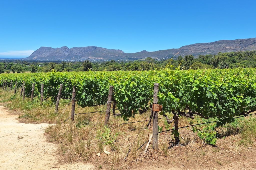 Table Mountain & Groot Constantia Wine Estate Table Mountain & Groot Constantia Wine Estate