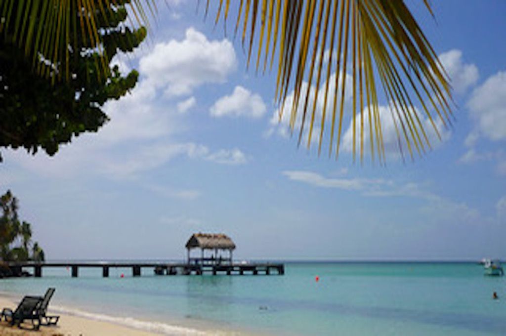 Island Tour with Beach Stop - Tobago