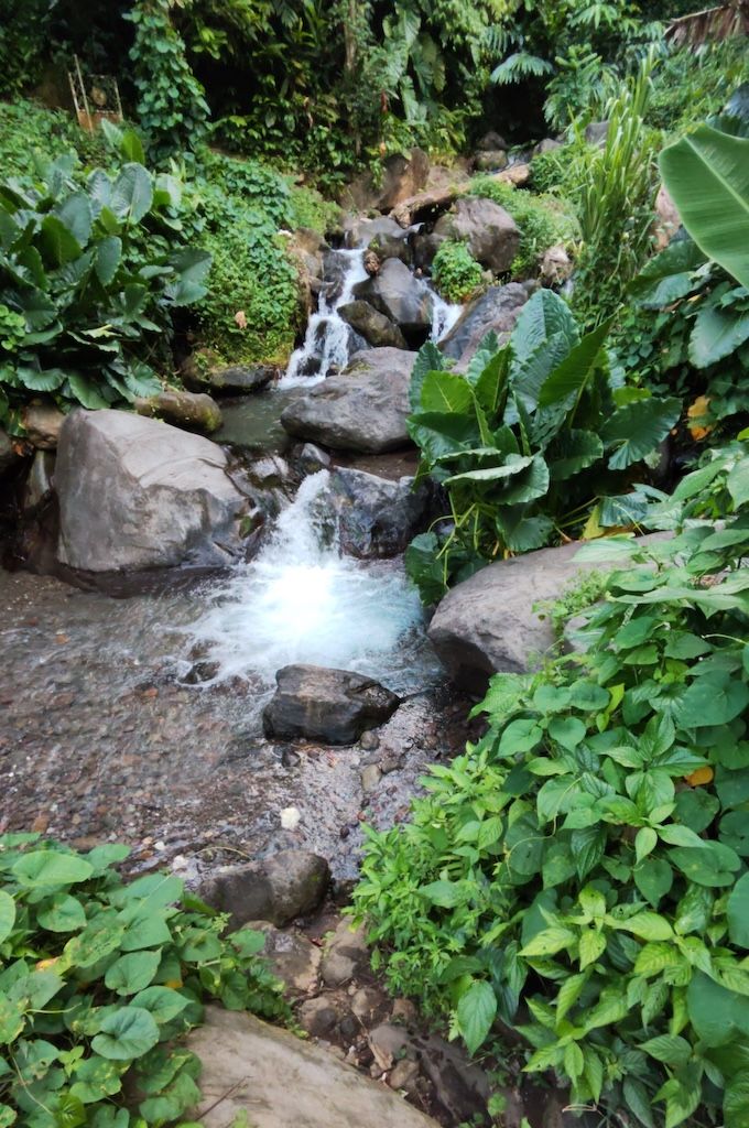 Tropical South of Basse-Terre - Guadeloupe